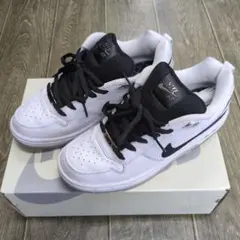 Nike SB ポールロドリゲス ズームエア LOW QS 28cm 中古