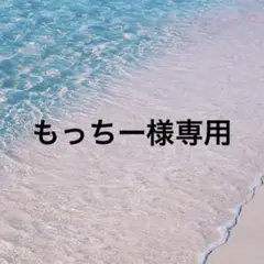 もっちー様専用