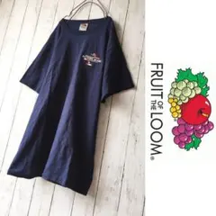 FRUIT OF THE LOOM BAYSIDE MIAMIワンポイント刺繍T
