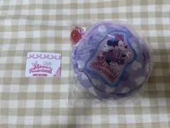 ディズニー ミニーのファンダーランド パルパルーザ カプセルトイ ポーチ