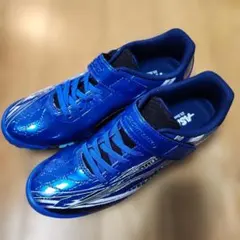 Item thumbnail for item 473070c5-3b43-4851-8134-12581795742c