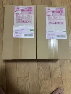 ポケモンセンタートウホク　スペシャルBOX 2box 新品未開封　ポケセン産