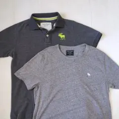 Abercrombie & Fitch ポロシャツとTシャツセット M/L