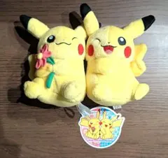 2026年最新】ポケモンセンターオリジナル ペアピカチュウ ぬいぐるみの