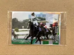 ソウルラッシュ　サラブレッドホースコレクション　3R 競馬　カード　バンダイ