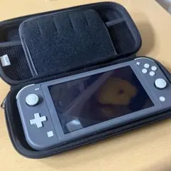 Nintendo Switch Lite ライトグレー本体専用ケースと充電器付