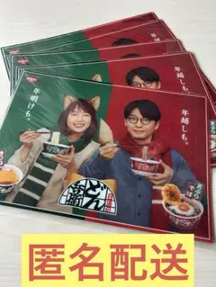【未使用】非売品　クリアファイル　日清どん兵衛　星野源　吉岡里帆　5枚セット