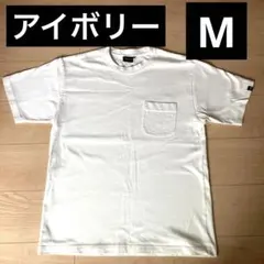 ノースフェイス 半袖Tシャツ アイボリー　メンズM