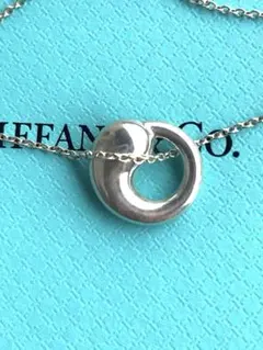 Tiffany&Co. ティファニー エターナルサークル ネックレス シルバー