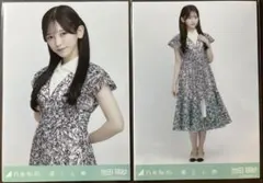 乃木坂46 生写真 乃木コレ 落とし物 ノーマル セミコンプ 池田瑛紗