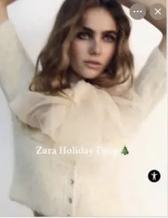 ZARA オーガンジーリボン　半袖ニット