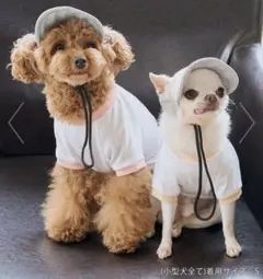 ロペピクニック×コミフ　犬用キャップ　ブルー系Sサイズのサムネイル