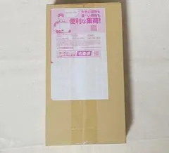 ポケモンカードゲーム スペシャルBOX ヒロシマ