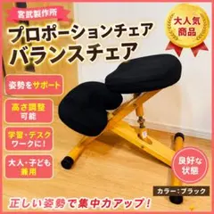 極美品 宮武製作所 木製バランスチェア 姿勢矯正 高さ調節可能 グレー ブラウン 極美品 宮武製作所 木製バランスチェア 姿勢矯正 高さ調節可能 グレー