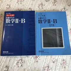 改訂版 チャート式 基礎からの数学II+B 数研出版 解答編付き