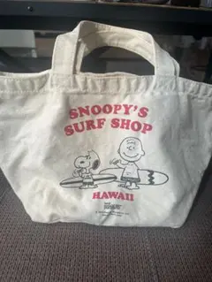 Item thumbnail for item 673ea250-ad0f-47ee-8b7e-676d801d88c5