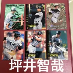 2026年最新】坪井智哉の人気アイテム - メルカリ