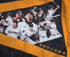 APPLEBUM Tシャツ 清原 西武ライオンズ ロッテオリオンズ ユニフォーム
