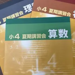 2025年最新】早稲田アカデミー 小4 夏期講習の人気アイテム