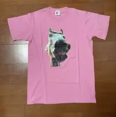 ハイロウズ TOO LATE TO DIE　Tシャツ ハイロウズ TOO LATE TO DIE Tシャツ - メルカリ