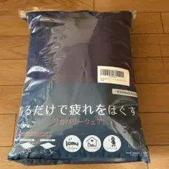 Item thumbnail for item 4298361a-37b9-4a97-b8d9-cebe4e3877d3