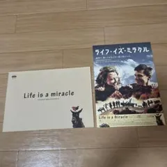 映画 ライフ・イズ・ミラクル パンフレット&フライヤー