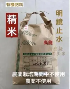 【農薬不使用♦️最高級希少米】５㎏精米✴︎新潟県長岡産コシヒカリ✴︎ 令和７年米✴︎のサムネイル