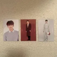 seventeen ウォヌ トレカ ミニフォト 入場特典