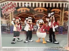 スペシャルフォト ベリーベリーミニー ミッキー ディズニーランド