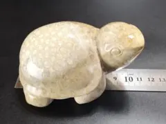 サンゴの化石(大)菊目石・亀・珊瑚・コラール置物・縁起物・開運のサムネイル