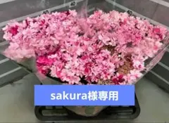 2026年最新】塩原花園の人気アイテム - メルカリ
