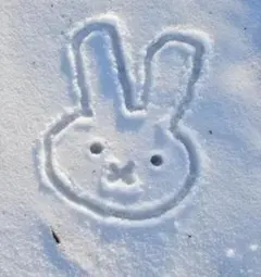 Item thumbnail for item ced415ab-bd6a-46ae-bb4b-d85881f0e39b