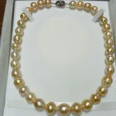 ゴールデンパール