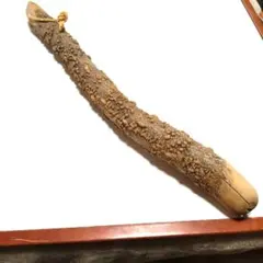 すりこ木棒のサムネイル