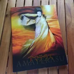 坂東玉三郎　アマテラス　パンフレット