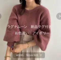 LAGUNAMOON ラクーンショートニット 新品　アイボリー