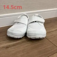 【used品】教育パワーアップシューズ　上履き　スクールシューズ　14.5cm