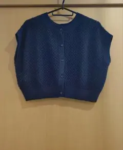 anysisラメ入りメッシュニットのサムネイル