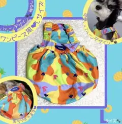 犬服 カラフルバルーン ワンピース風 Lサイズ 夏服