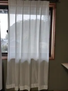 Item thumbnail for item 8b8218f5-6ac2-49f9-9689-3c08570a8c46