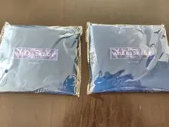 ディズニーアンバサダーホテル宿泊者限定エコバッグ