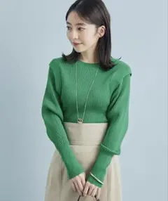 VIS ビス【星玲奈さんコラボ】肩タックリブニットプルオーバー　FREE