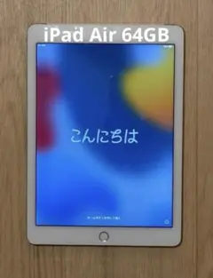 Apple iPad Air 2本体 元箱付き