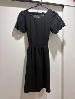 MAJESTIC LEGON ワンピース