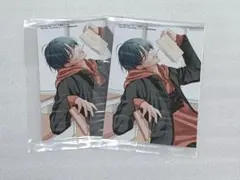 花とゆめ 8号 アニメイト 特典 ブロマイド 春の嵐とモンスター ミユキ蜜蜂