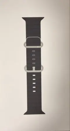 Apple Watch Ultra2 純正オーシャンバンド