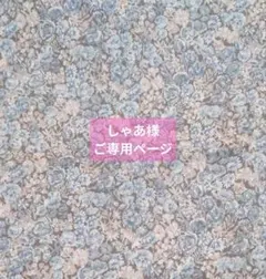 しゃあ様ご専用ページ
