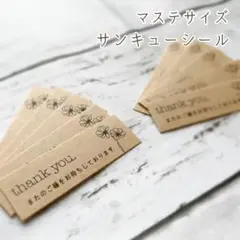 マステサイズ サンキューシール ⚘*.