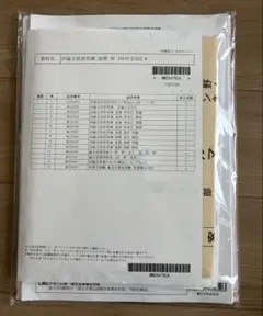LEC 弁理士試験 2025論文直前答練・公開模試 後期 全10回セット LEC 弁理士試験 2025論文直前答練・公開模試 後期 全10回セット - メルカリ