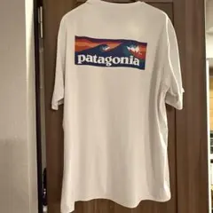 patagonia Capilene Cool Daily Tシャツ L